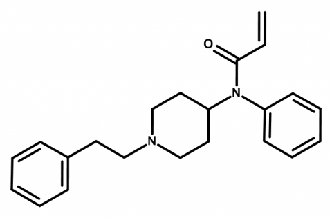 Monkey Xtc Pill