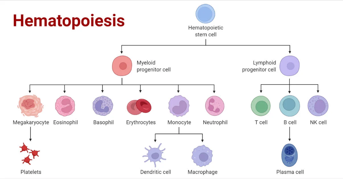 Ultimate Power: Synthetic Pathogens & Designer Genetic Bioweapons