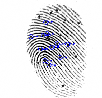 Documents, Fingerprints, Genetics: Storing & Searching Forensic Data