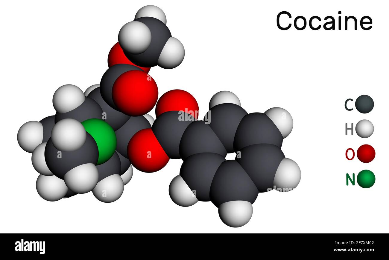 High-Potency Super-Cocaines: The Nightmare Yet To Come